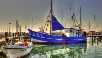 Администраторы на фестиваль в г. Архангельск (2 дня)