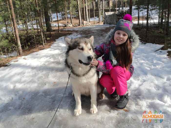 даша александровна костина фото №1027578. Загружено 20 Апреля 2016