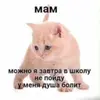 Полина  Ильина фото №1861427